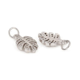 Monstera Leaf | 10 count